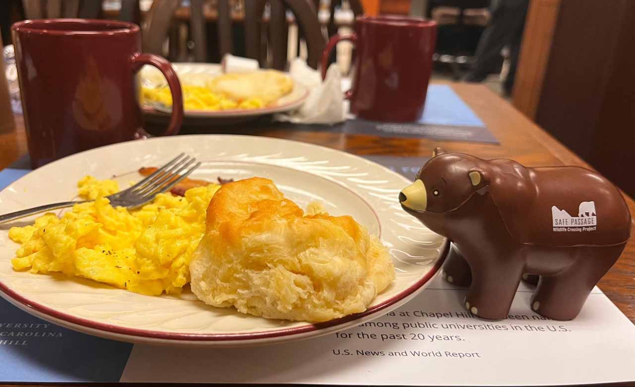 STNC 725 bearbreakfast