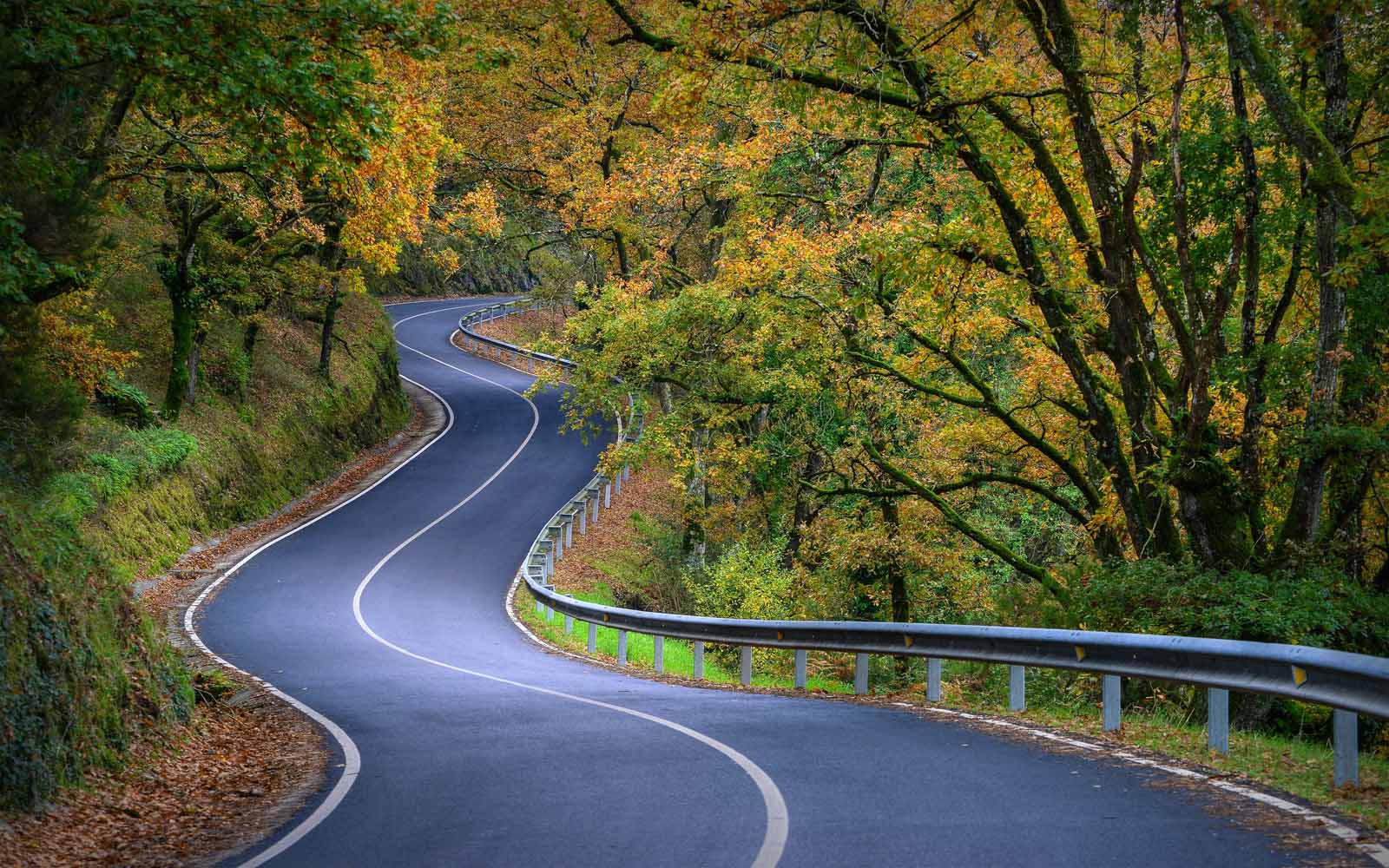 STNC Sept RuralRoad